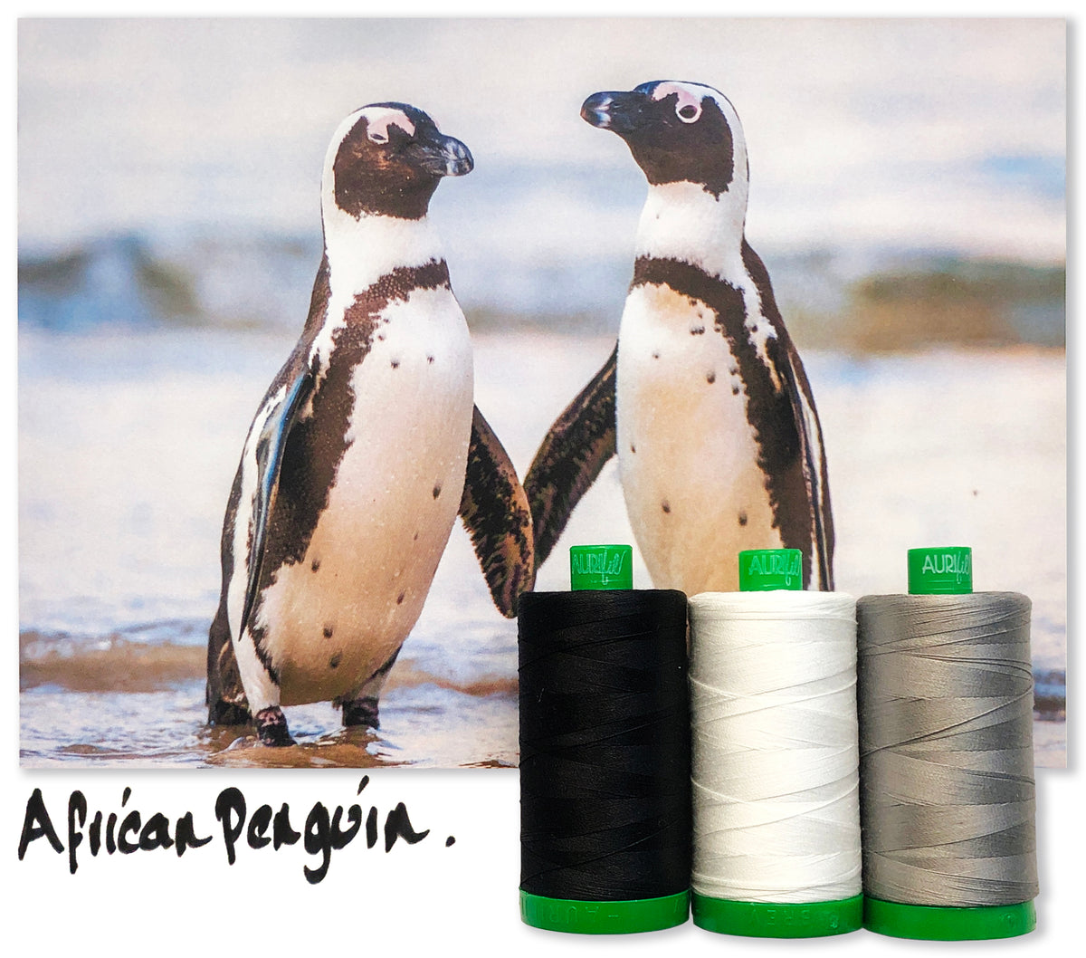 African Penguin by Aurifil + Patterns