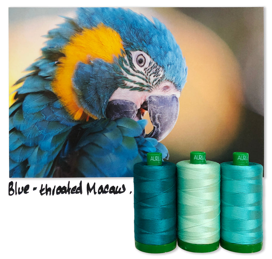 Blue-Throated Macaw by Aurifil + Patterns