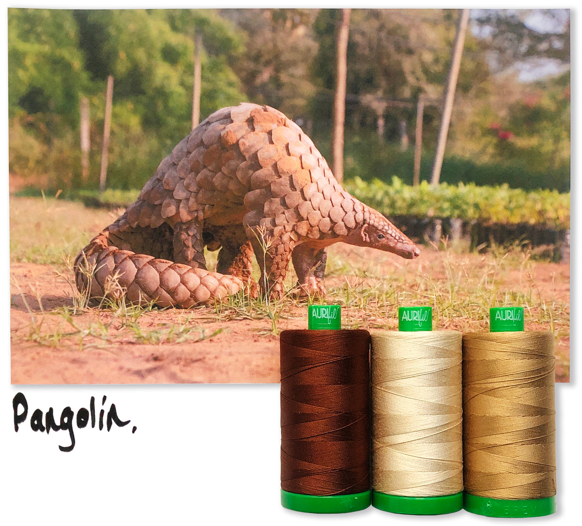 Pangolin by Aurifil + Patterns