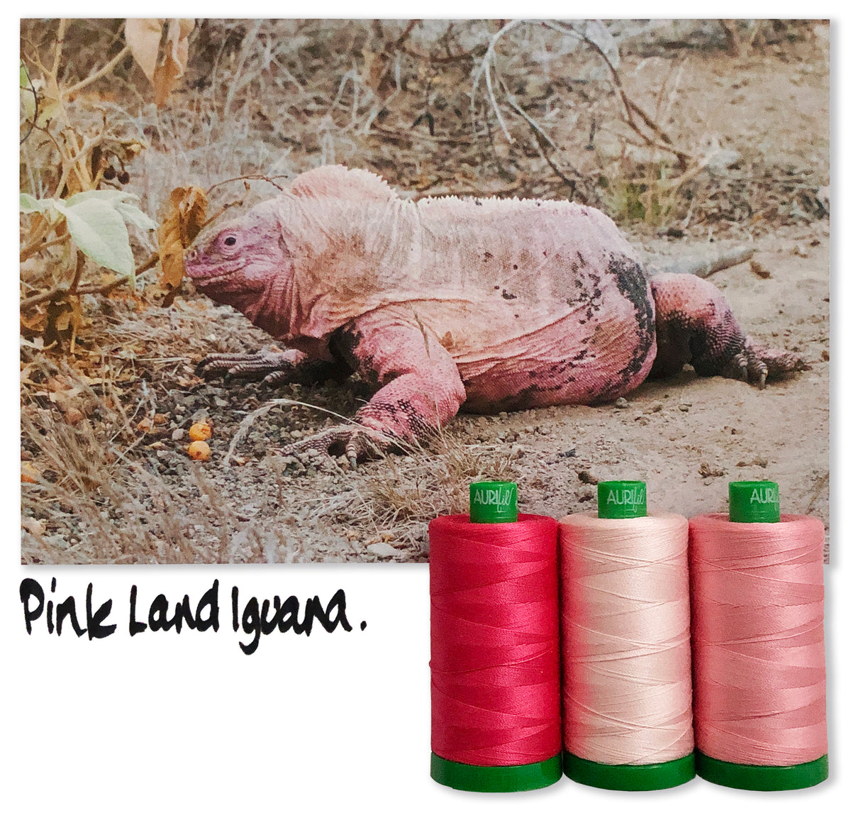Pink Land Iguana by Aurifil + Patterns