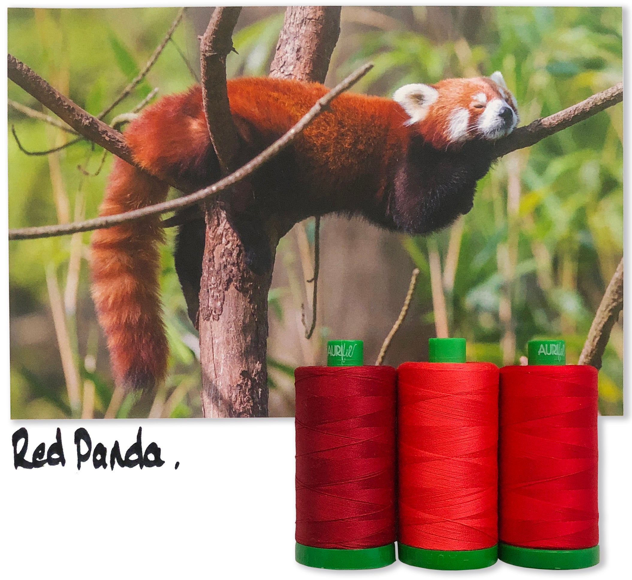 Red Panda by Aurifil + Patterns – Shop Aurifil - Official