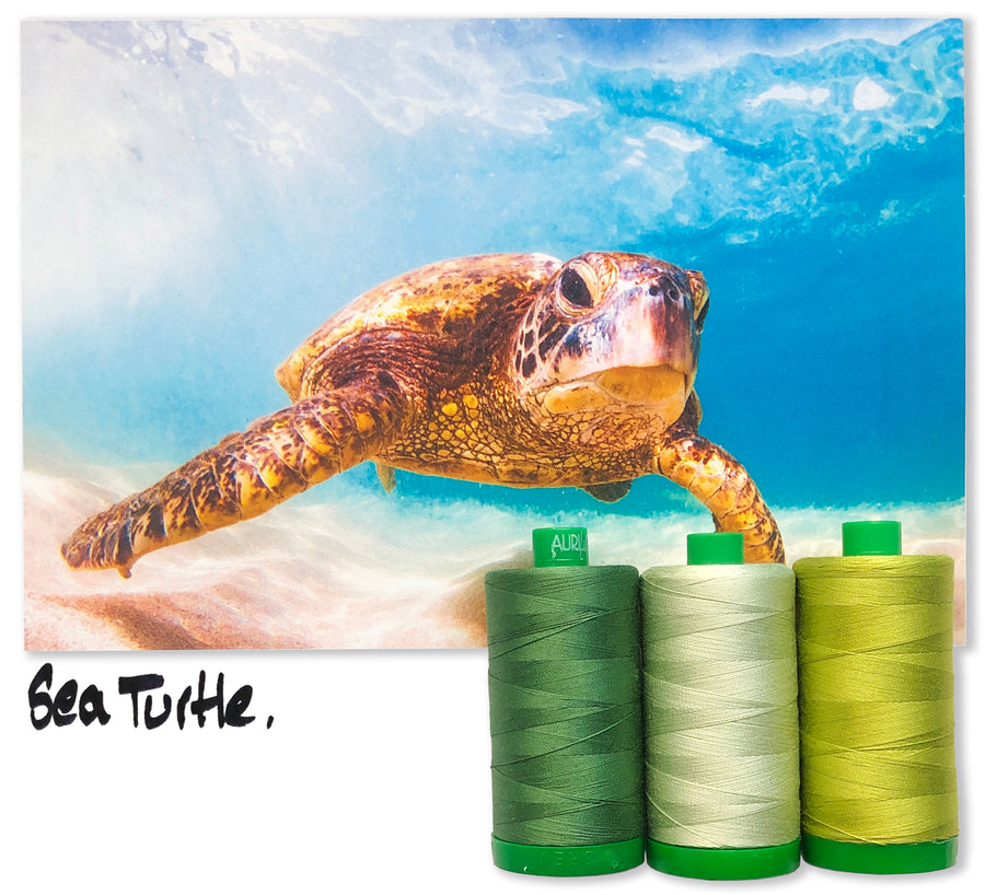 Sea Turtle by Aurifil + Patterns