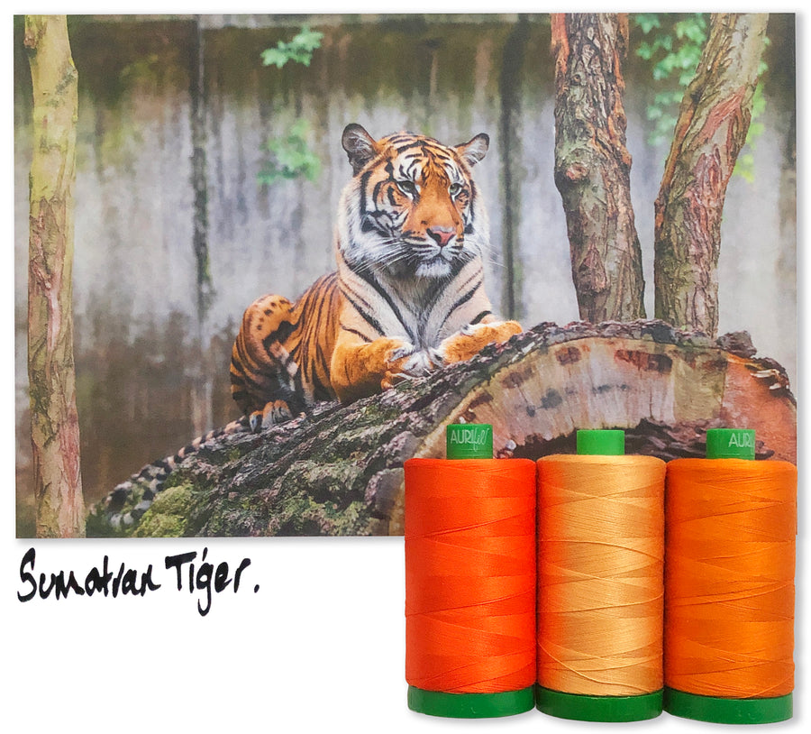 Sumatran Tiger by Aurifil + Patterns
